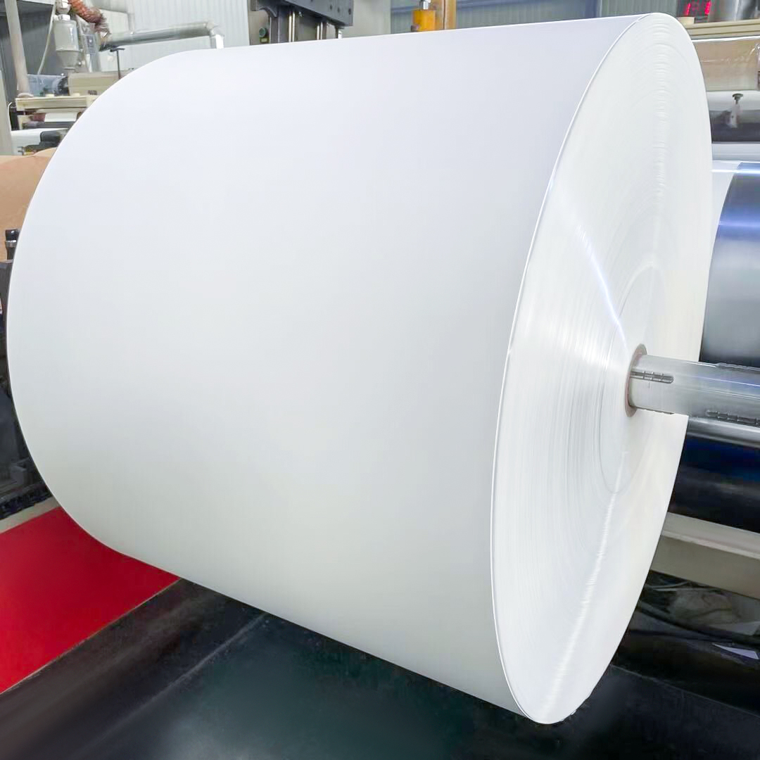 Eco Friendly Paper Cup Sheet 6 inch Wood Pulp Food Grade PE Coated