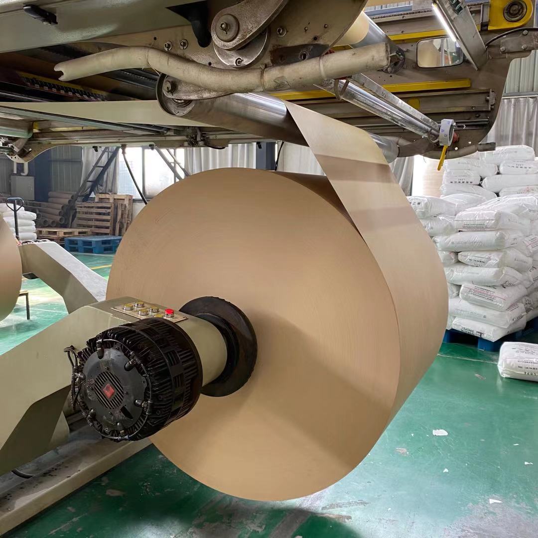 Biodegradable Printed Kraft Paper Cup Sheet Disposable For Food continens